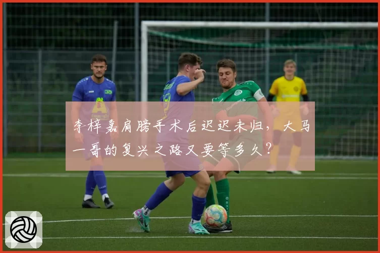 李梓嘉肩膀手术后迟迟未归，大马一哥的复兴之路又要等多久？