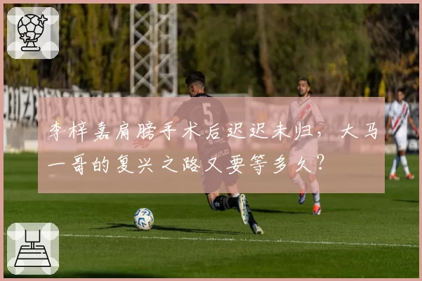 李梓嘉肩膀手术后迟迟未归，大马一哥的复兴之路又要等多久？